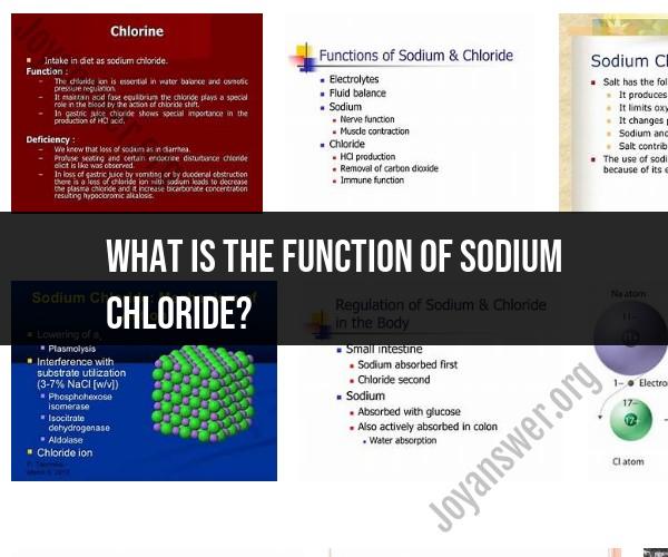 The Essential Function of Sodium Chloride