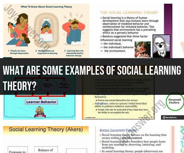 The Four Pillars of Social Learning Theory