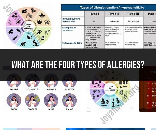 The Four Primary Types of Allergies: A Comprehensive Overview