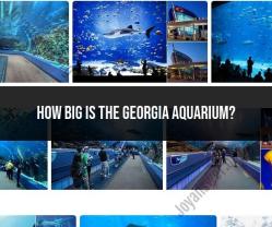 The Grandeur of the Georgia Aquarium: Exploring Its Vast Dimensions