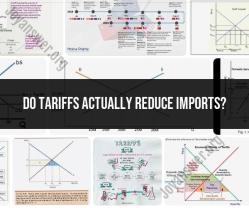 The Impact of Tariffs on Imports: Debunking Myths