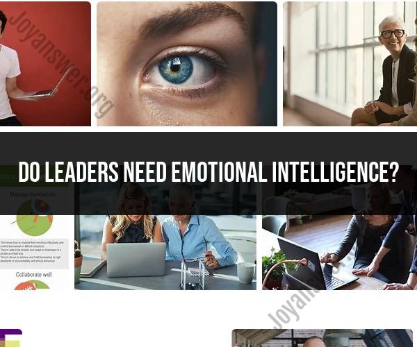 The Importance of Emotional Intelligence for Leaders