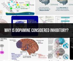 The Inhibitory Side of Dopamine: Unraveling Its Paradox