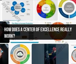 The Inner Workings of a Center of Excellence