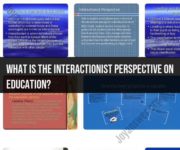 The Interactionist Perspective on Education: Insights and Applications