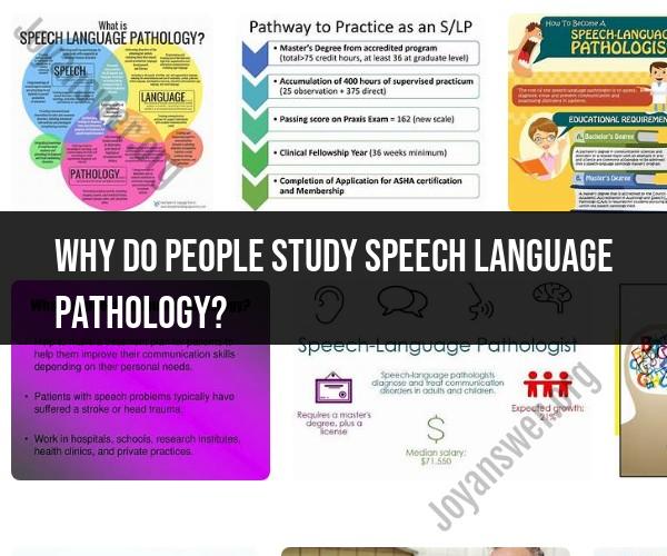 The Motivation to Study Speech-Language Pathology