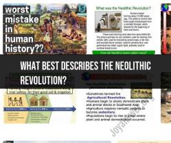 The Neolithic Revolution: A Transformation in Human History