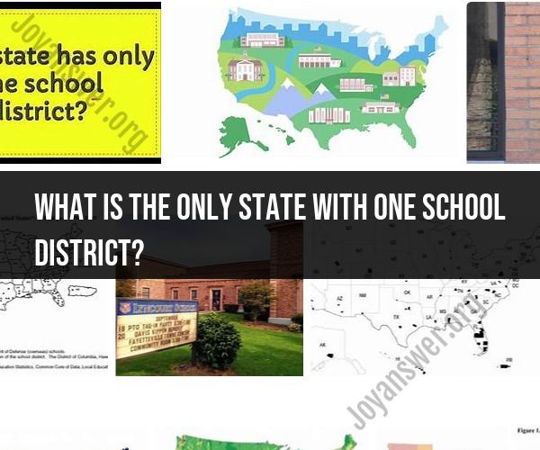 The Only State with One School District: Unique Education