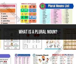 The Plural Form of Nouns: Rules and Examples