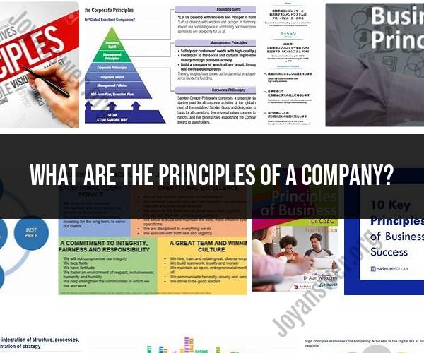 The Principles of a Company: Key Values and Guidelines