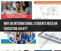 The Role of Education Agents for International Students
