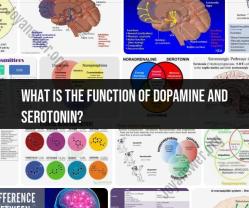 The Roles of Dopamine and Serotonin: Neurotransmitters in the Brain