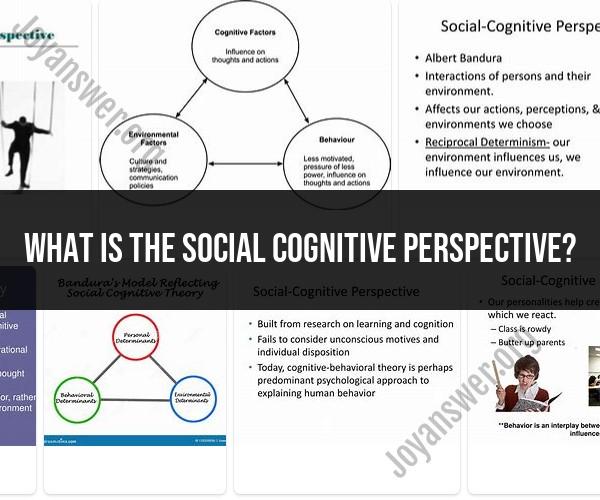 The Social Cognitive Perspective: Unraveling Human Behavior and Interaction