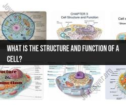 The Structure and Function of Cells: An Overview