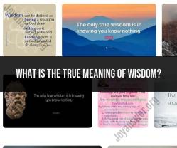 The True Meaning of Wisdom: A Multifaceted Perspective
