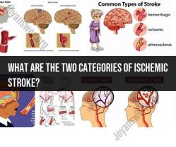 The Two Categories of Ischemic Stroke: Clot-Based Brain Attacks