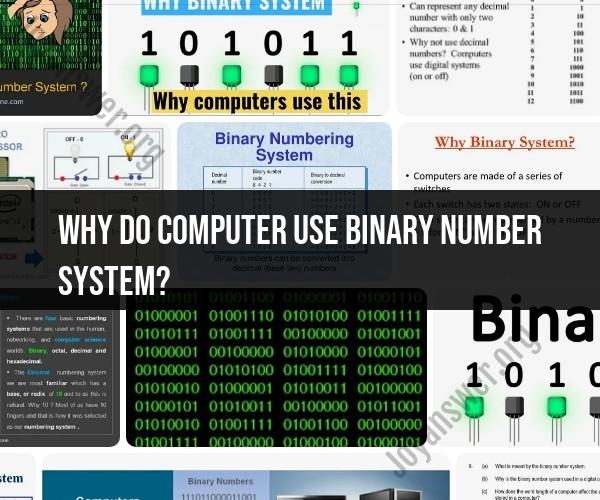 The Use of the Binary Number System in Computers