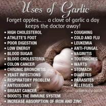 The Wellness Wonders: Health Benefits of Garlic Supplements