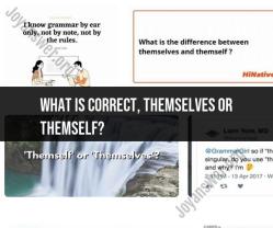 Themselves vs. Themself: Choosing the Correct Pronoun