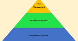 Three Levels of Management: Understanding Organizational Structure