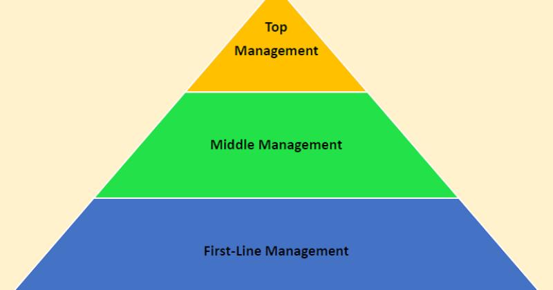 Three Levels of Management: Understanding Organizational Structure