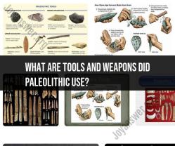 Tools and Weapons of the Paleolithic Era