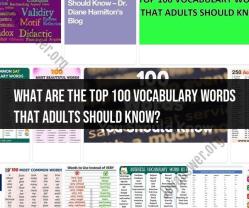Top 100 Vocabulary Words for Adults: A Comprehensive List