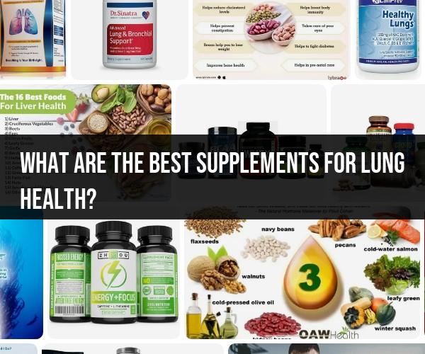 Top Supplements for Lung Health: Enhancing Respiratory Function Naturally