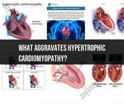 Triggers and Aggravating Factors for Hypertrophic Cardiomyopathy