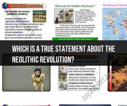 True Statements about the Neolithic Revolution