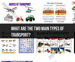 Two Main Types of Transport: Overview of Transportation Modes
