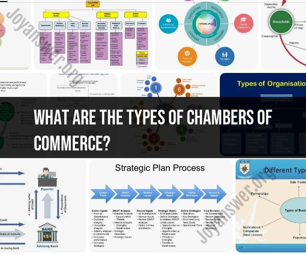 Types of Chambers of Commerce: Business Support Organizations