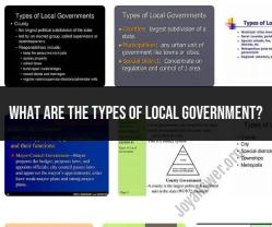 Types of Local Government: Exploring Governance Structures