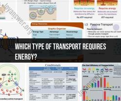 Types of Transport Requiring Energy: Understanding Energy Use