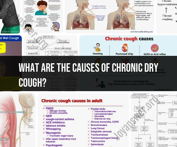Uncovering the Root Causes of Persistent Dry Cough