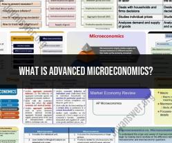 Understanding Advanced Microeconomics