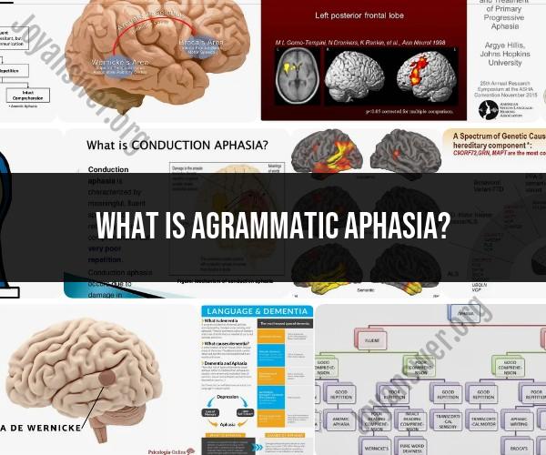 Understanding Agrammatic Aphasia: Symptoms and Causes