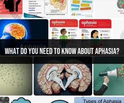 Understanding Aphasia: Key Information and Considerations