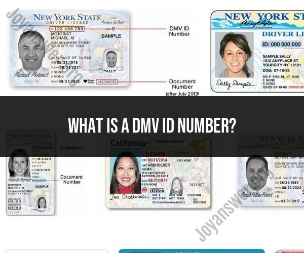 Understanding DMV ID Numbers: What You Need to Know
