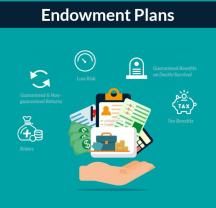 Understanding "Endow" and "Endowment": Linguistic Insight