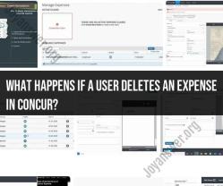 Understanding Expense Deletion in Concur: User Actions and Consequences