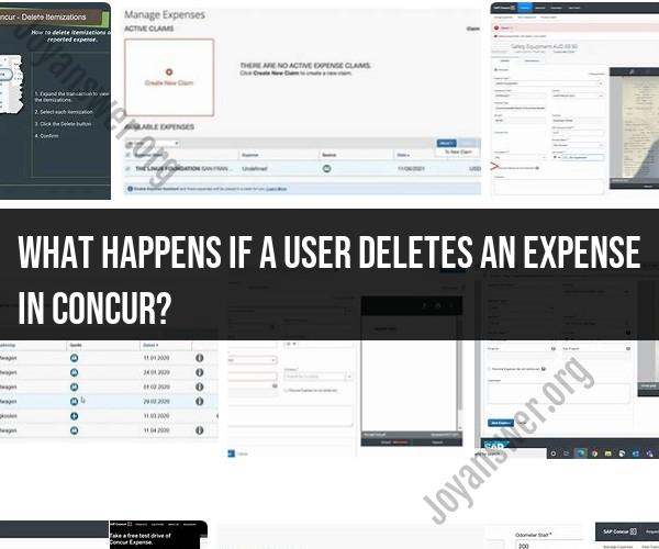 Understanding Expense Deletion in Concur: User Actions and Consequences