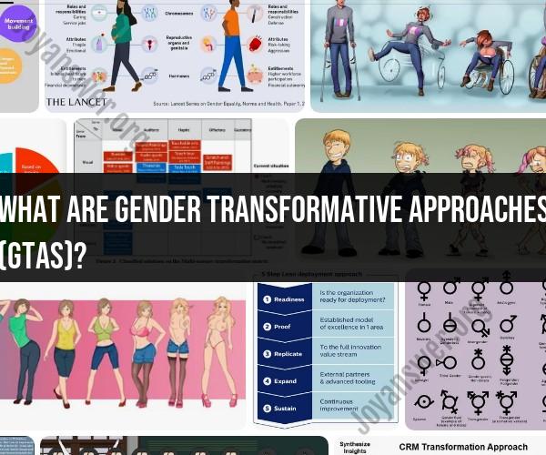 Understanding Gender Transformative Approaches (GTAs)