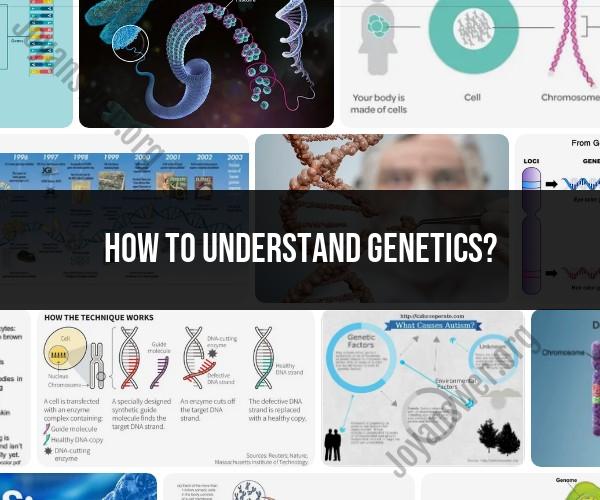 Understanding Genetics: A Comprehensive Guide