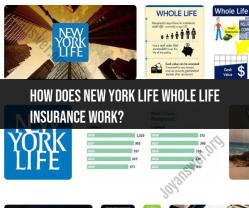 Understanding How New York Life Whole Life Insurance Works