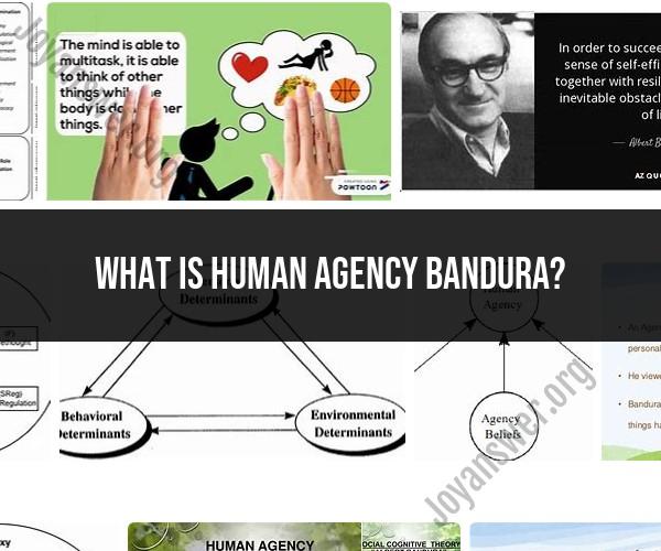 Understanding Human Agency in Bandura's Theory