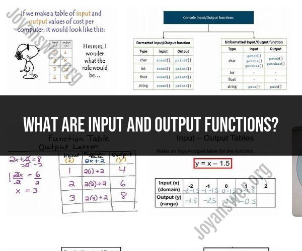 Understanding Input and Output Functions in Computing