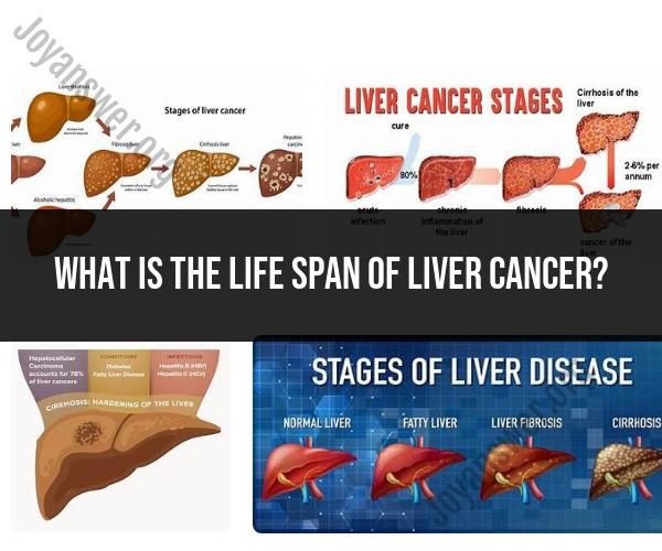 Understanding Liver Cancer Lifespan and Prognosis