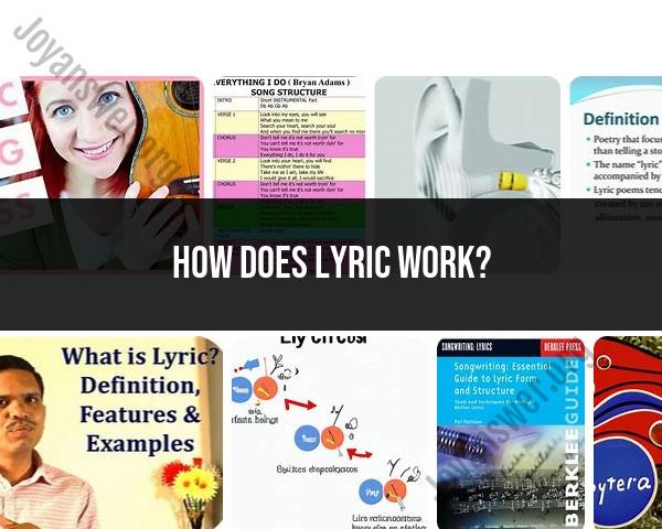 Understanding Lyric Functionality: Mechanisms and Operations