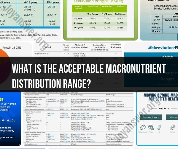 Understanding Macronutrient Distribution Range: A Nutrition Guide